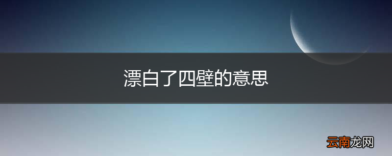 漂白了四壁的意思