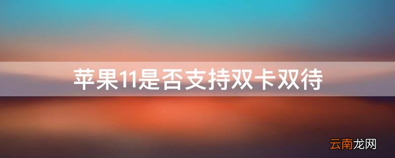 iPhone11是否支持双卡双待 iPhone11可以双卡双待吗