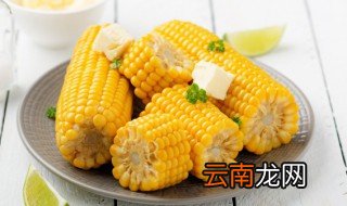 玉米冷水下锅多久能煮熟 冷水下锅煮速冻熟玉米多久