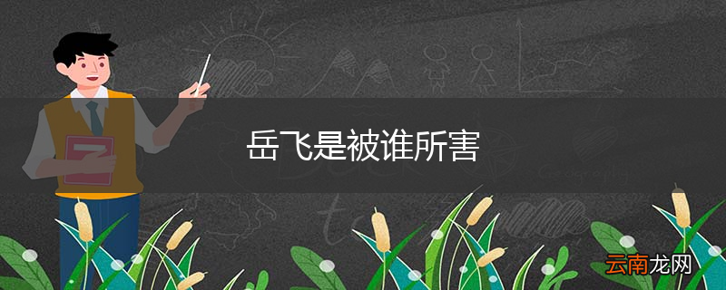 岳飞是被谁所害