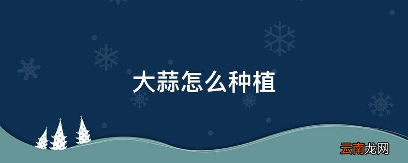 大蒜怎么种植