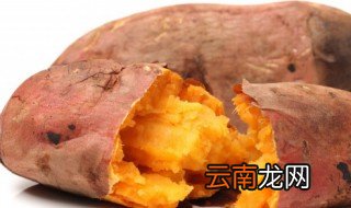 煮玉米煮红薯需要多长时间 玉米红薯冷水下锅煮多久