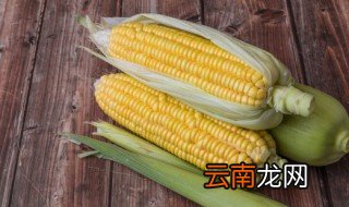 玉米和鸡蛋冷水下锅煮多久 鸡蛋和玉米冷水下锅煮几分钟