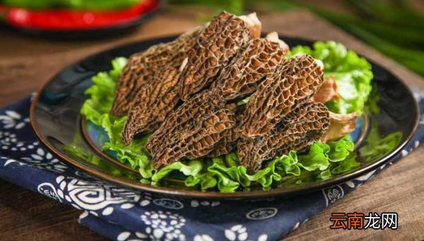 鲜羊肚菌怎么冷冻保存 鲜羊肚菌可以冷冻保存吗