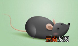 老鼠咬了米袋还能吃吗 老鼠咬了米袋能不能再吃