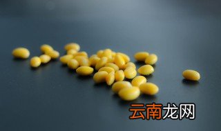 黄豆长在哪里 黄豆长在哪里怎么画