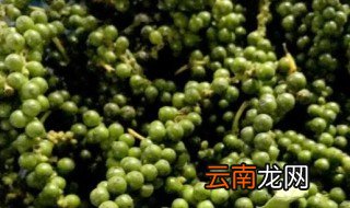 胡椒生长在哪里 胡椒生长在哪里绘本ppt