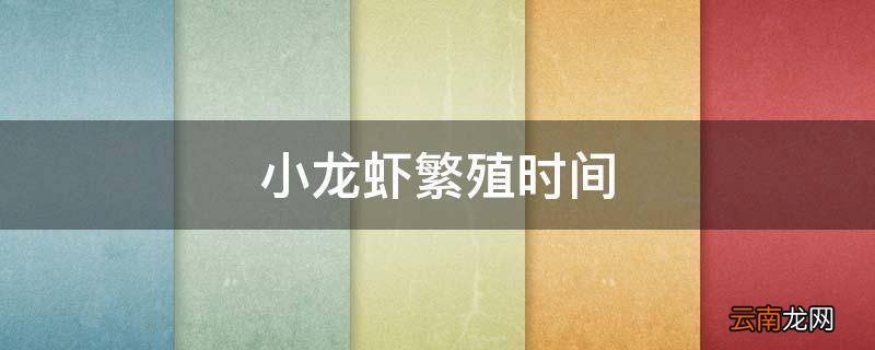 小龙虾繁殖时间