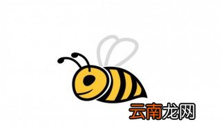 蜜蜂的耳朵长在哪里 蜜蜂的耳朵长在哪里图片