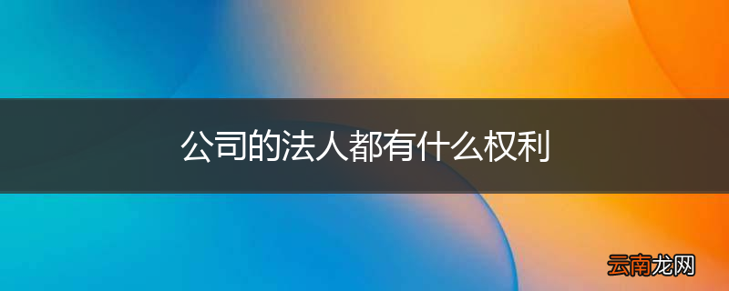 公司的法人都有什么权利
