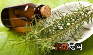 茶油放冰箱冷藏好吗，茶油要不要放冰箱里保存