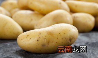 土豆生长在哪里 土豆生长在哪里,海带生长在哪里