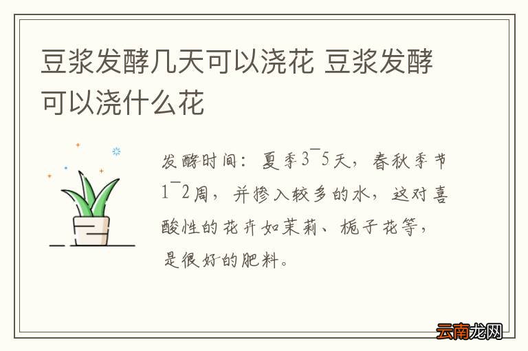 豆浆发酵几天可以浇花 豆浆发酵可以浇什么花