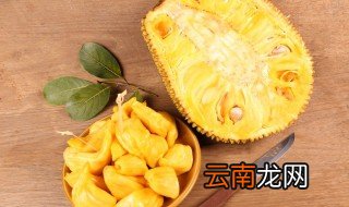 菠萝蜜生长在哪里的视频 菠萝蜜生长在哪里