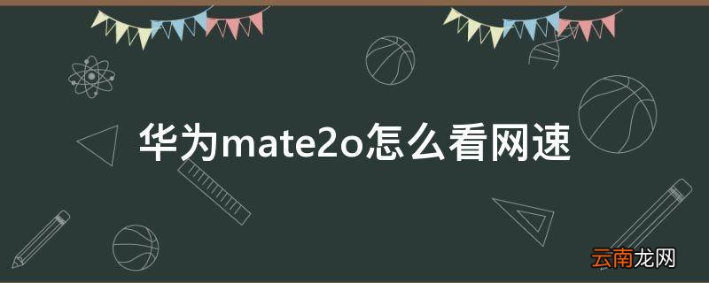 华为mate2o怎么看网速