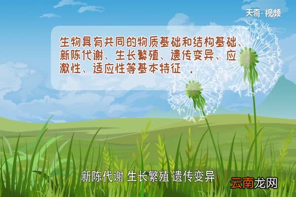 什么是生物 生物的基本特征是什么