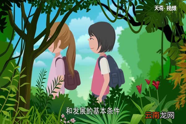 什么是生物 生物的基本特征是什么