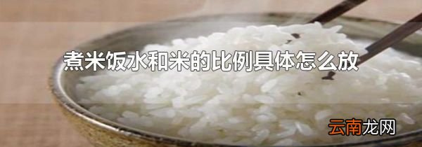 煮米饭水和米的比例具体怎么放