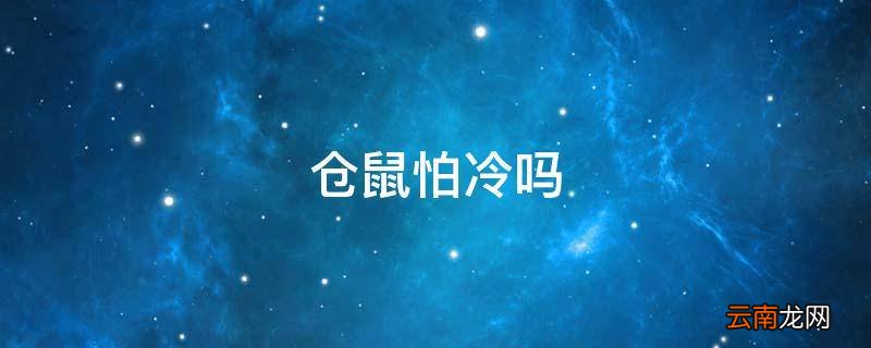 仓鼠怕冷吗