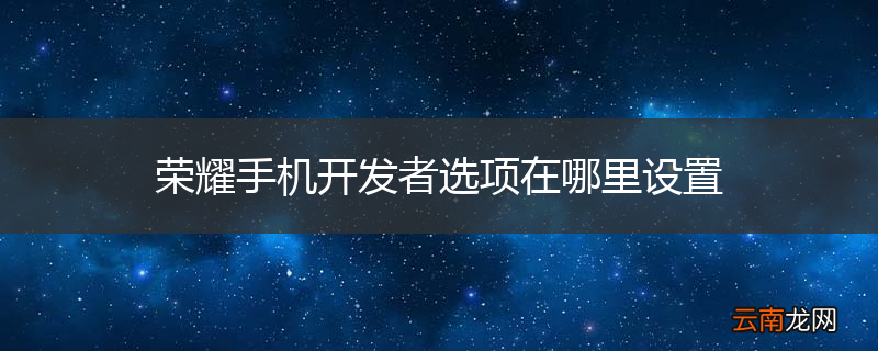 荣耀手机开发者选项在哪里设置