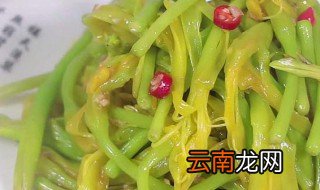 黄花菜做法 黄花菜怎么做