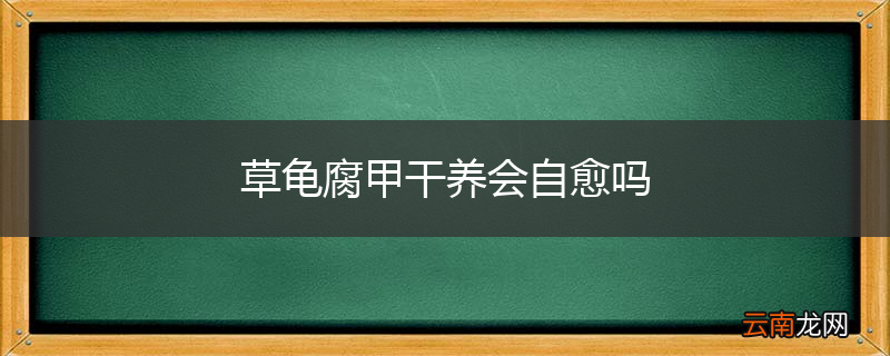 草龟腐甲干养会自愈吗
