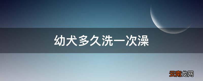 幼犬多久洗一次澡