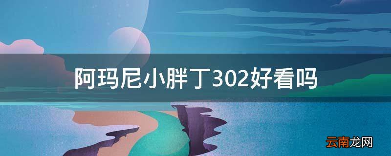 阿玛尼小胖丁302好看吗