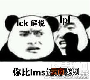 拜托你很弱诶是什么梗？拜托你很弱诶表情包分享