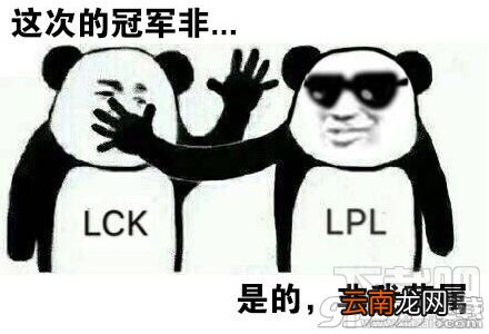 拜托你很弱诶是什么梗？拜托你很弱诶表情包分享