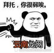 拜托你很弱诶是什么梗？拜托你很弱诶表情包分享