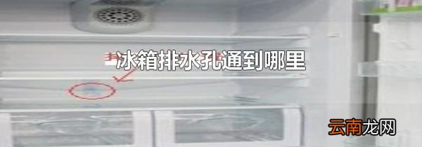 冰箱排水孔通到哪里