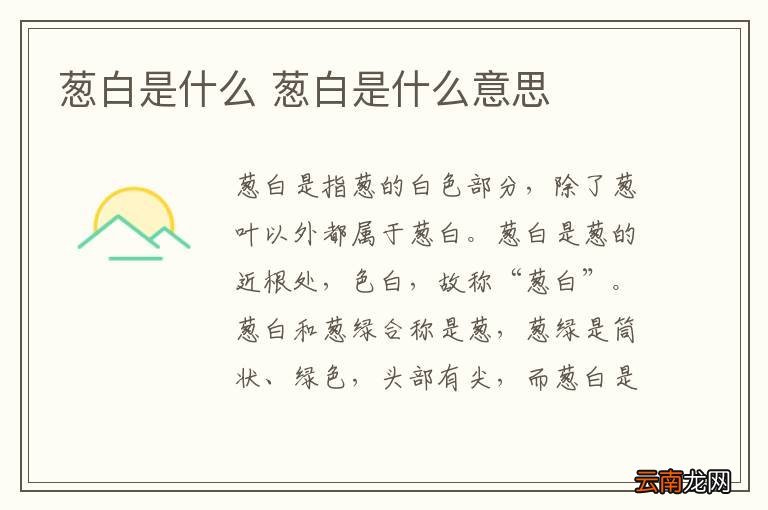 葱白是什么 葱白是什么意思