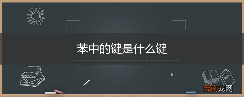 苯中的键是什么键