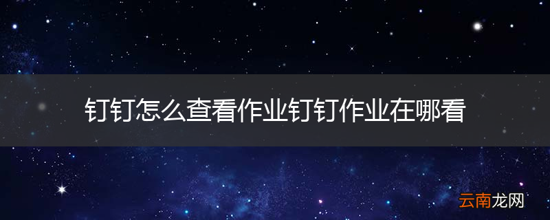 钉钉怎么查看作业钉钉作业在哪看
