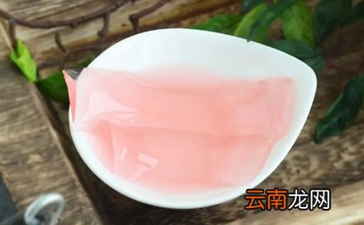 酵素果冻青少年可以吃吗