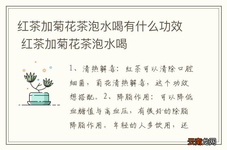 红茶加菊花茶泡水喝有什么功效 红茶加菊花茶泡水喝