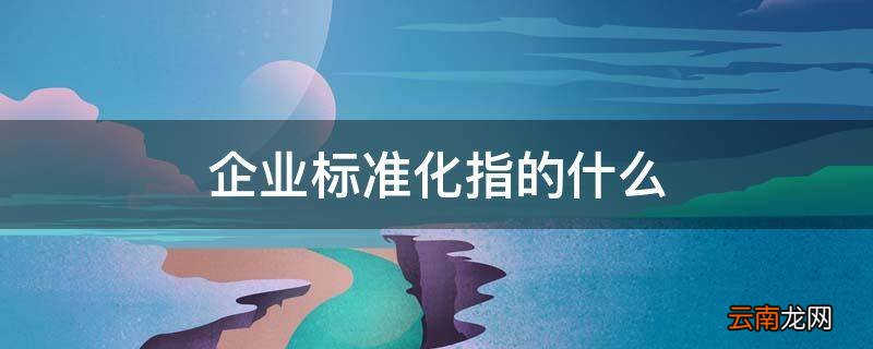 企业标准化指的什么