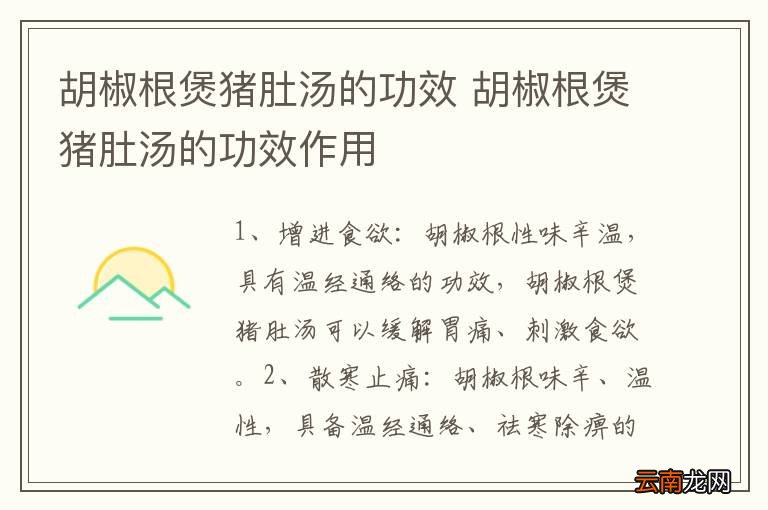 胡椒根煲猪肚汤的功效 胡椒根煲猪肚汤的功效作用