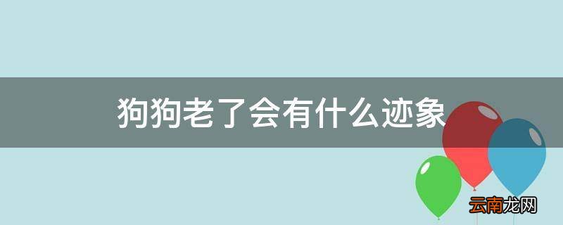狗狗老了会有什么迹象