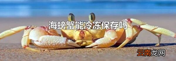 海螃蟹能冷冻保存吗