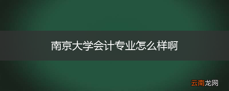 南京大学会计专业怎么样啊