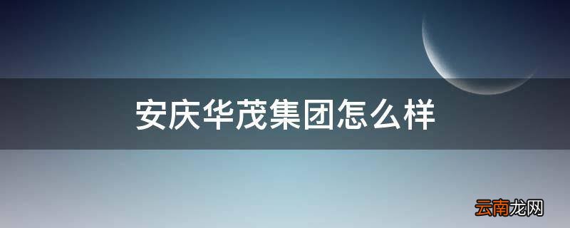 安庆华茂集团怎么样