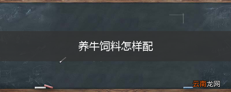 养牛饲料怎样配