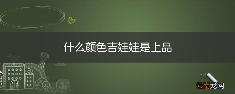 什么颜色吉娃娃是上品