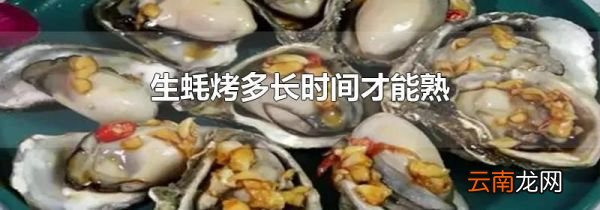 生蚝烤多长时间才能熟