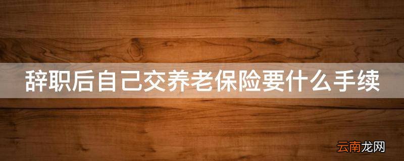 辞职后自己交养老保险要什么手续