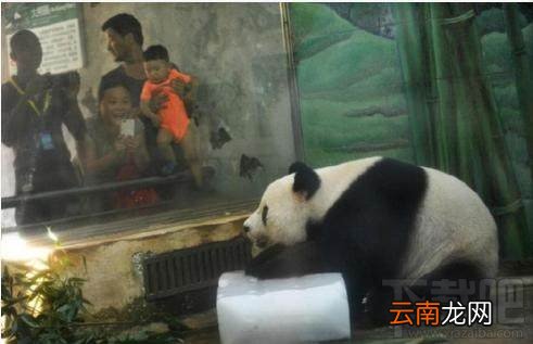 我的命是这冰块给的什么梗 我的命是这冰块给的表情包分享