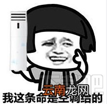 我的命是这冰块给的什么梗 我的命是这冰块给的表情包分享