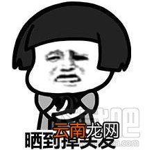 我的命是这冰块给的什么梗 我的命是这冰块给的表情包分享